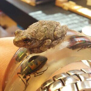 Meet your Posher, Kristin